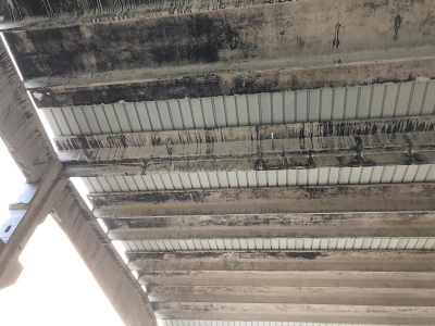 IMG-20190125-WA